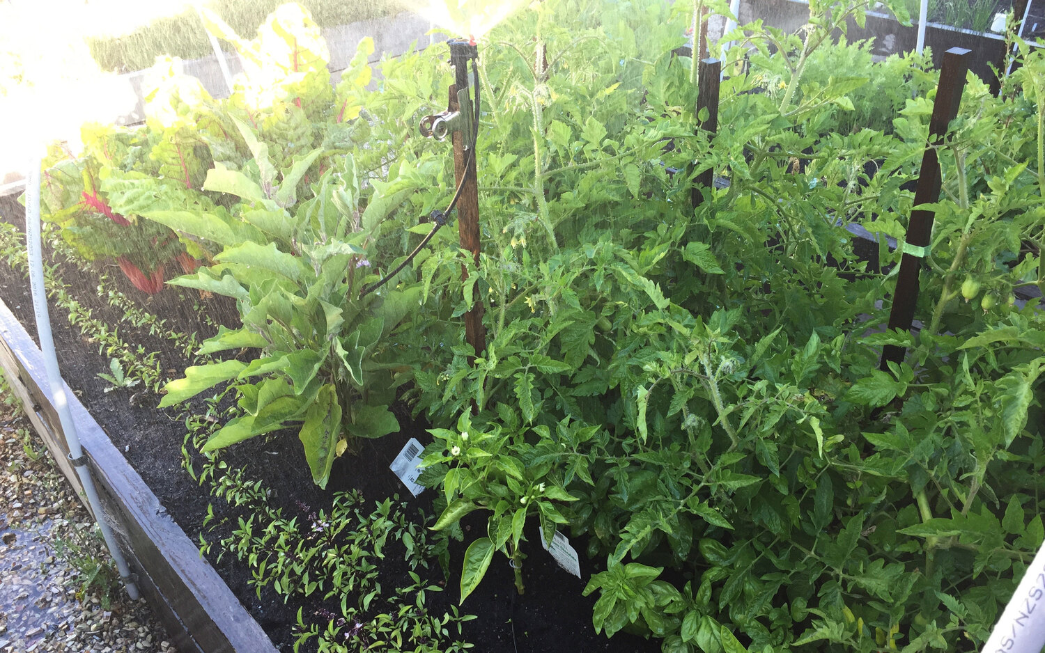 Garden Watering Automation