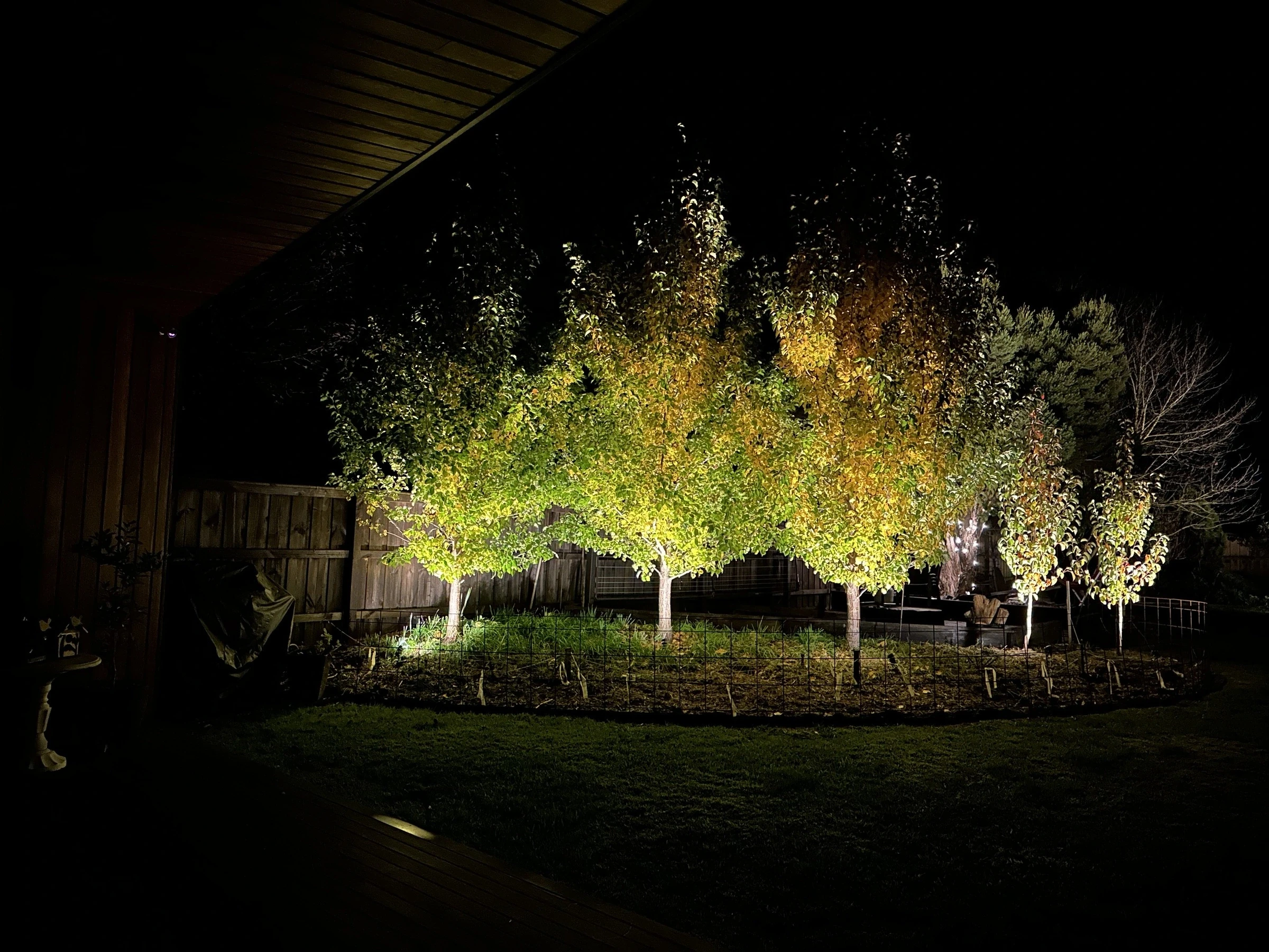 Extra low voltage garden lights